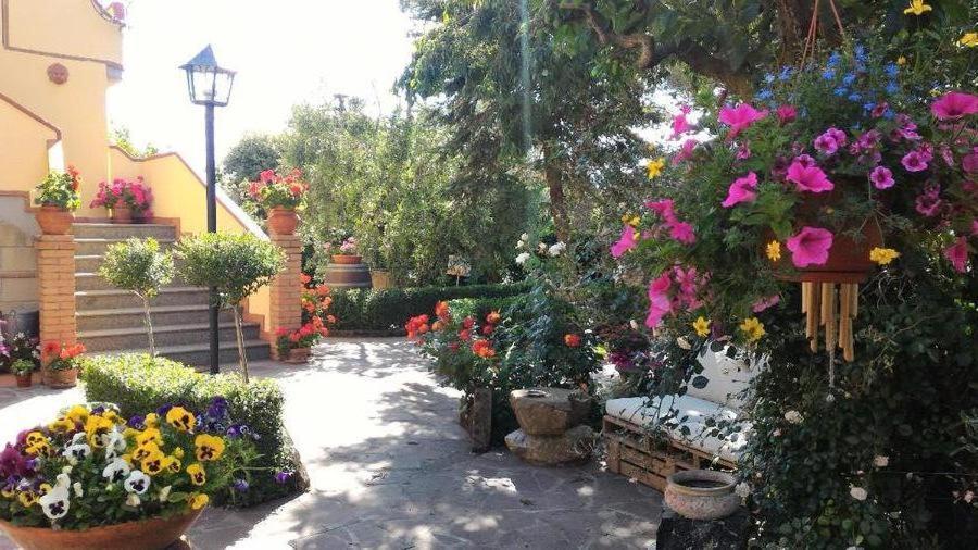 Bed And Breakfast Val Di Lupaカステッリーナ・マリッティマ エクステリア 写真